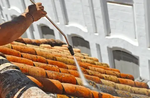 Nettoyage de toitures - Mamers